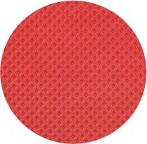 Arcturus Foam Industries Yoga Mat | Essential Yoga Mat